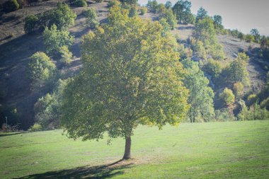 Makedonya 'nın Probistip kenti yakınlarındaki uzak dağlardaki vadiye manzara