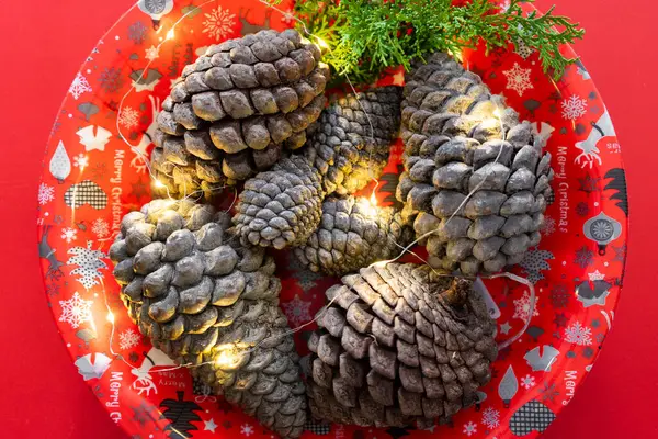 Kırmızı arka planda kırmızı bir tabakta çam kozalaklı Noel süslemesi