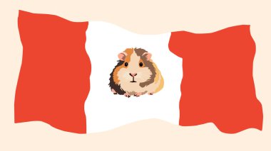 Peru bayrağının vektör illüstrasyonunda ortada bir kobay vardı. Ulusal kutlamalar, turizm ürünleri veya eğitim içeriği için eğlenceli ve kültürel bir tasarım ideali.