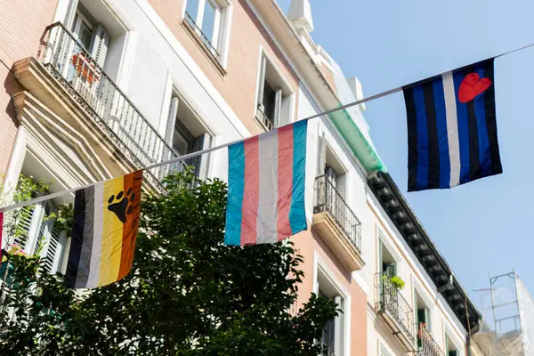 Madrid Merkez, İspanya - 26 Haziran 2025: Gurur bayrakları Madrid 'de bir sokakta sergilendi