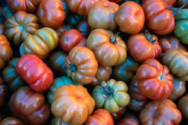 Close Uma Pilha Tomates Tomates São Todas Cores Formas Diferentes — Fotografia de Stock