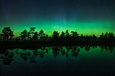 Yeşil ve mavi aurora borealis ışıkları Finlandiya 'da ormandaki küçük bir gölün yüzeyine yansımaktadır.