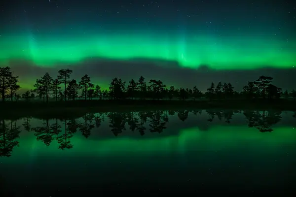 Yeşil aurora borealis ışıkları Finlandiya 'da ormandaki küçük bir gölün yüzeyine yansır.