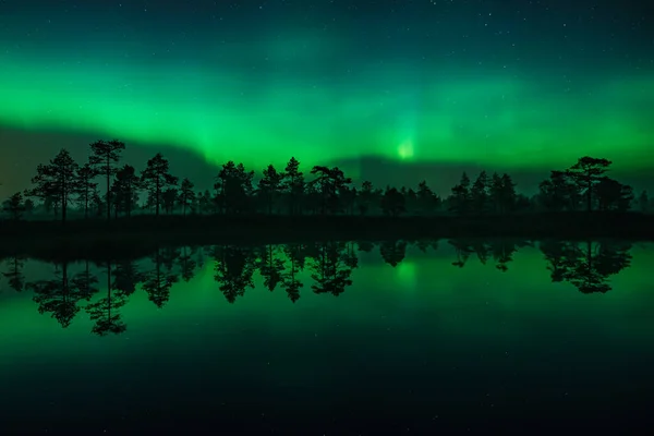 Yeşil aurora borealis ışıkları Finlandiya 'da ormandaki küçük bir gölün yüzeyine yansır.