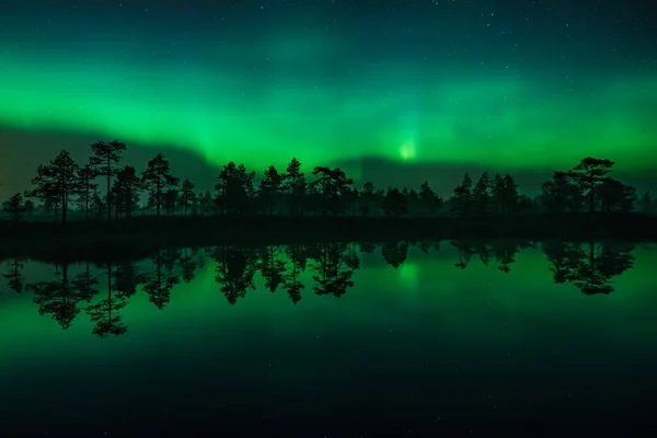 Зелене Світло Борделісу Відображене Поверхні Маленького Озера Лісі Фінляндії Стокове Фото