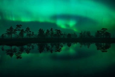 Yeşil aurora borealis ışıkları Finlandiya 'da ormandaki küçük bir gölün yüzeyine yansır.