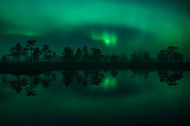 Yeşil aurora borealis ışıkları Finlandiya 'da ormandaki küçük bir gölün yüzeyine yansır.