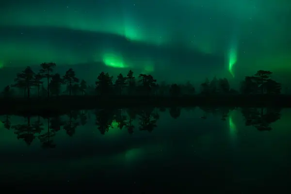 Luces Aurora Boreal Verdes Reflejadas Superficie Pequeño Lago Los Bosques —  Fotos de Stock