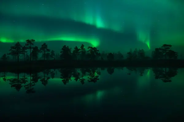 Yeşil aurora borealis ışıkları Finlandiya 'da ormandaki küçük bir gölün yüzeyine yansır.