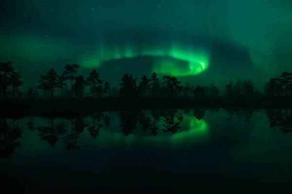 Yeşil Aurora Borealis Işıkları Finlandiya Ormandaki Küçük Bir Gölün Yüzeyine — Stok fotoğraf