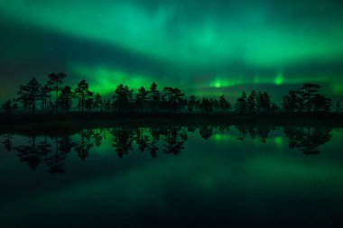 Yeşil aurora borealis ışıkları Finlandiya 'da ormandaki küçük bir gölün yüzeyine yansır.