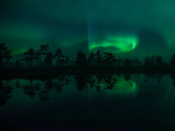 Green Aurora Borealis Lights Reflected Surface Small Lake Woods Finland — Stock Photo, Image
