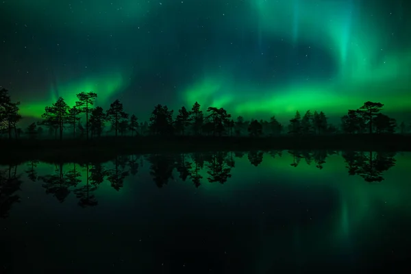 Green Aurora Borealis Lights Reflected Surface Small Lake Woods Finland — Stock Photo, Image