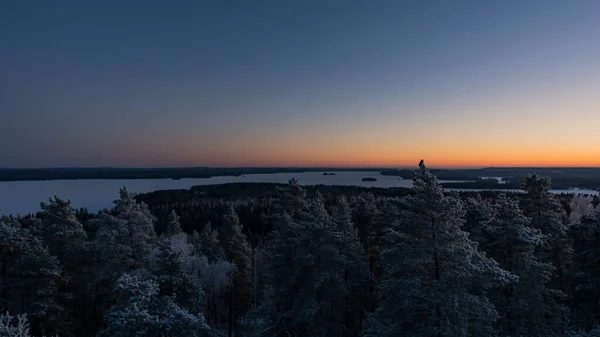 Mroźny Zimowy Krajobraz Lasów Widziany Najwyższego Poziomu Drzewa Pirkanmaa Finlandia — Zdjęcie stockowe