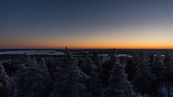 Mroźny Zimowy Krajobraz Lasów Widziany Najwyższego Poziomu Drzewa Pirkanmaa Finlandia — Zdjęcie stockowe