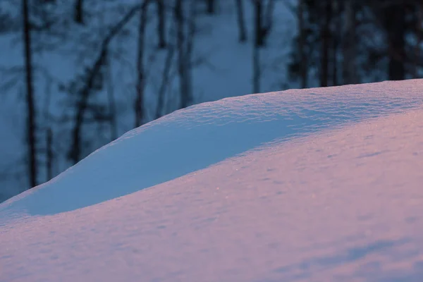 Luz Pôr Sol Colorindo Superfície Neve Uma Floresta Inverno Finlândia — Fotografia de Stock