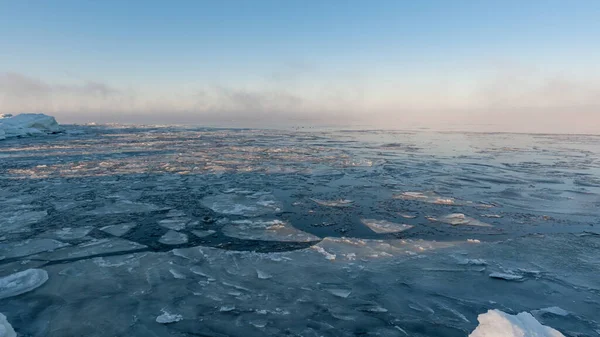 Κατεψυγμένη Ακτή Της Θάλασσας Παγωμένη Ομίχλη Και Μακρινά Πουλιά Κολυμπούν — Φωτογραφία Αρχείου