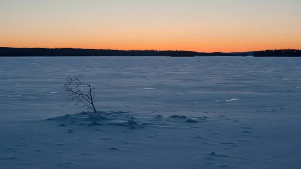 在冬季 芬兰的湖中 有一根树枝伸出冰面 作为捕鱼船的标志 — 图库照片