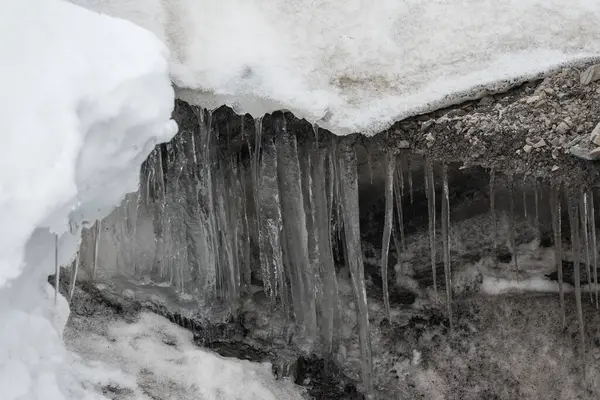 Buzullar, Svalbard 'da çakıllarla kirlenmiş eriyen bir buzulda açılır.