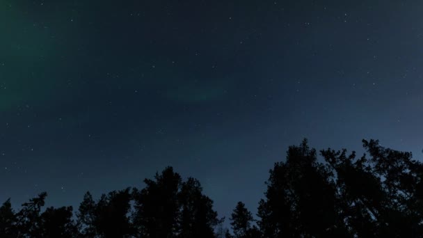 Временной Промежуток Aurora Borealis Над Верхушками Деревьев Зимой Тампере Финляндия — стоковое видео