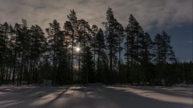 Finlandiya 'nın Pirkanmaa kentinde ayların çam ağaçlarının arkasına geçmesi ve kışın donmuş bir gölü aydınlatması.