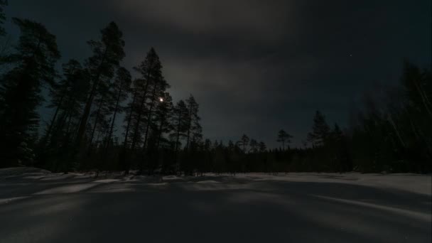 Laps Temps Lune Déplaçant Derrière Des Pins Illuminant Lac Gelé — Video