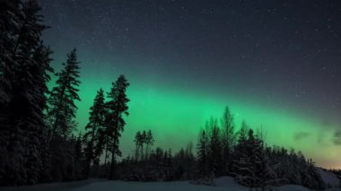Finlandiya 'nın Pirkanmaa kentinde kışın karlı ağaçların arkasındaki yıldızlı gökyüzünü aydınlatan Aurora Borealis ışıklarının zaman aşımı