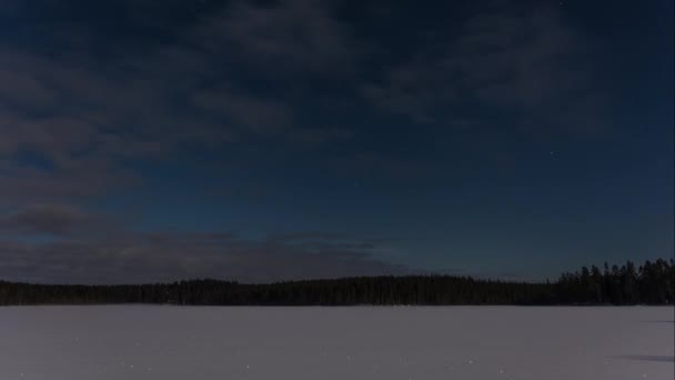 Zeitraffer Eines Schneebedeckten Gefrorenen Sees Den Wäldern Mondschein Einer Extrem — Stockvideo