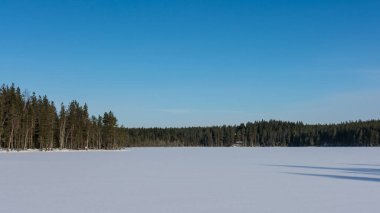 Parlak bir kış gününde, ormanların üzerinde mavi gökyüzü olan donmuş bir çöl gölü.