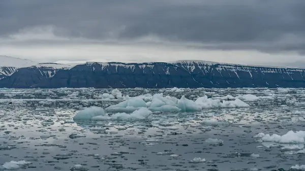 Blocos Gelo Flutuando Fiorde Ártico Com Montanhas Fundo Svalbard — Fotografia de Stock