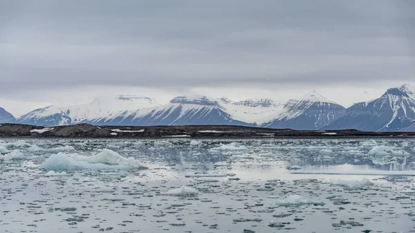 Bloques Hielo Flotando Fiordo Ártico Con Montañas Fondo Svalbard —  Fotos de Stock