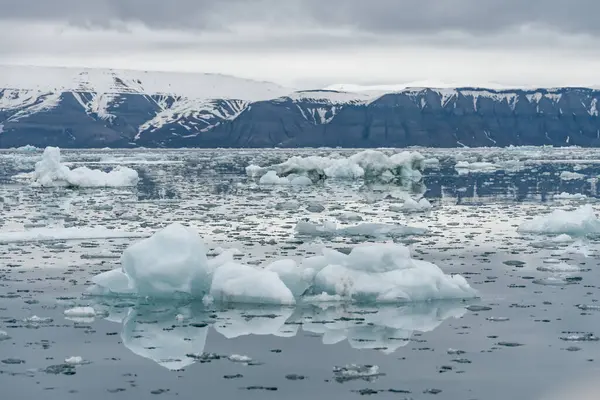 Крижані Блоки Плавають Арктичному Фіорді Горами Задньому Плані Шпіцбергені — стокове фото