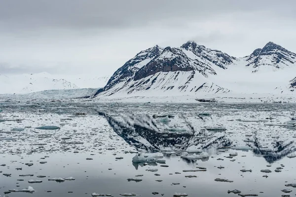 スヴァルバードの背景にある山々を浮かべた北極のフィヨルドによる氷河 — ストック写真