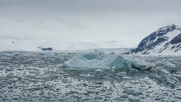 Лід Арктичному Фіорді Шпіцбергені Горами Льодовиком Задньому Плані — стокове фото