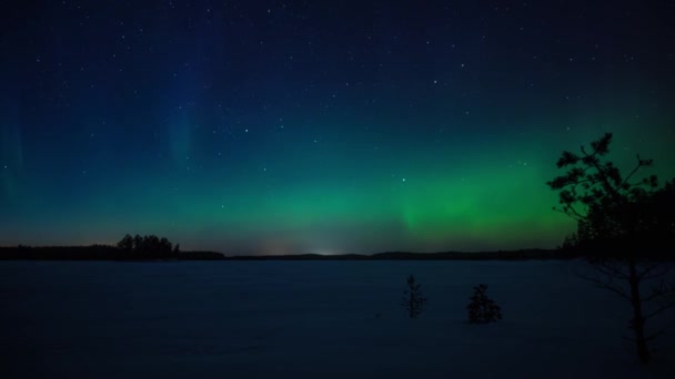 Zeitraffer Von Polarlichtern Über Einem Zugefrorenen See Den Wäldern Von — Stockvideo