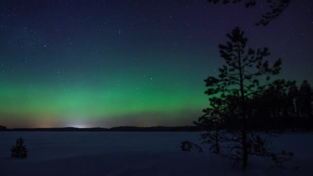 Lapso Tempo Aurora Boreal Sobre Lago Congelado Florestas Pirkanmaa Finlândia — Vídeo de Stock