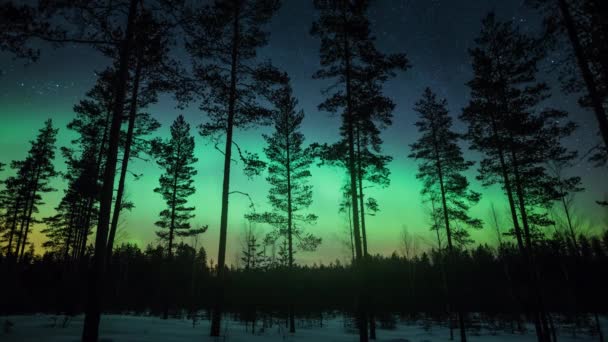 芬兰冬季从松树后面的地面到地面的绿色极光的时间差 — 图库视频影像