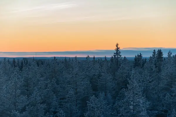 Finlandiya 'da günbatımından sonra kış mevsiminde soğuk ormanlar