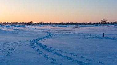 Finlandiya 'da kayak izleri ve ayak izleri olan karlı donmuş deniz