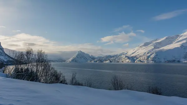 Kuzey Norveç 'te kışın fiyordun kıyısındaki karlı dağlar ve mavi gökyüzü