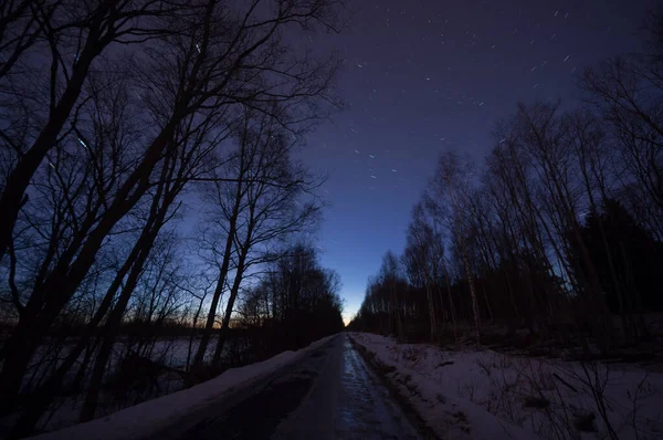 Finlandiya 'da kışın yıldızlı gece gökyüzü ve ormanda yol