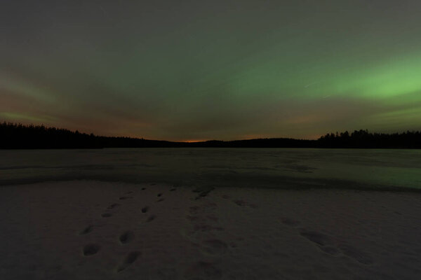 Tracks in the snow leading onto the ice of a frozen lake in the forests of Finland in winter with the green light from aurora borealis behind the clouds