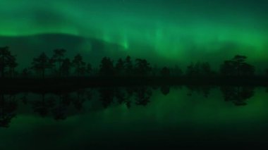 Aurora borealis zamanı Finlandiya 'da arka planda ağaçların olduğu göl yüzeyine yansımaktadır.