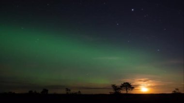 Finlandiya 'daki bataklıklar üzerinde gece gökyüzünde Aurora Borealis' in zamanı