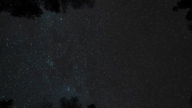 Finlandiya ormanlarındaki karanlık ağaçlar arasında yıldızlı gökyüzü ve Samanyolu 'nun zaman aşımı