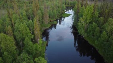 Finlandiya, Laponya 'nın vahşi ormanlarındaki bir nehri takip eden hava harekatı