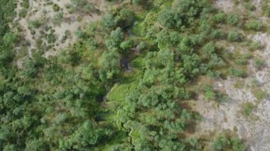 Kuzey Finlandiya 'da beyaz çadırın görüldüğü dolambaçlı bir akarsu akıntısının ardından