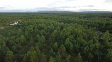 Orman manzaralı ve Laponya, Finlandiya 'da nehir manzaralı yan uçuşlar