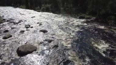 Laponya, Finlandiya 'da ormanlık bir nehirdeki akıntıları takip eden uçuş