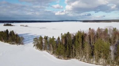 Vehmaanniemi, Sastamala, Finlandiya 'daki karlı göl üzerinde orman manzaralı İHA uçuşları